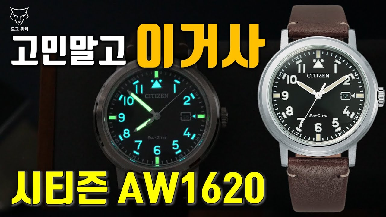 [도그워치 리뷰#92] 그냥 고민말고 이거 사세요! 모두를 위한 추천 시계! 시티즌 AW1620 리뷰, 가성비 에코드라이브 쿼츠시계, 세상 무난한 시계