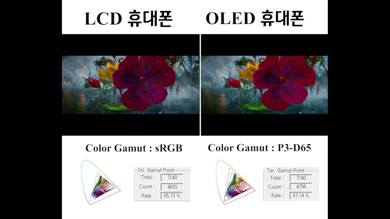 Color Gamut Control soc design lab