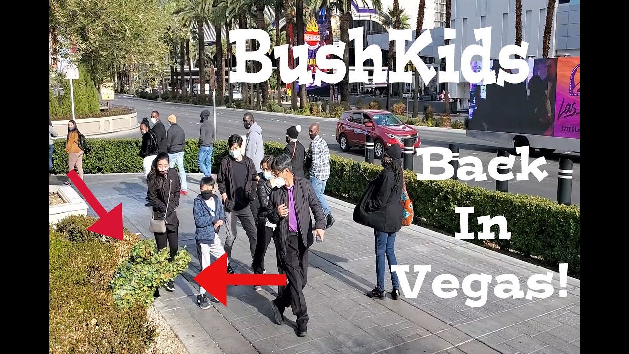 BushKids are back: Vegas Baby!
