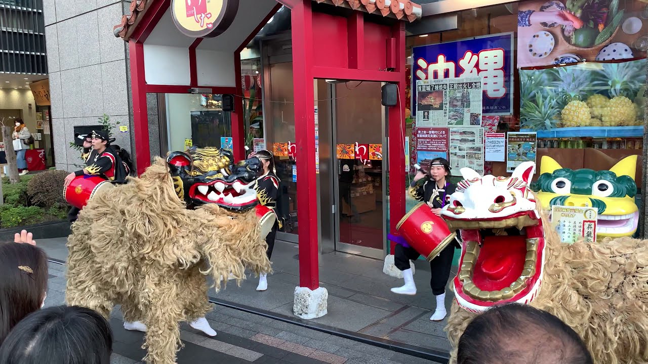 【レアな黒衣装】銀座わしたショップ　2019/12/08　琉球舞団 昇龍祭太鼓