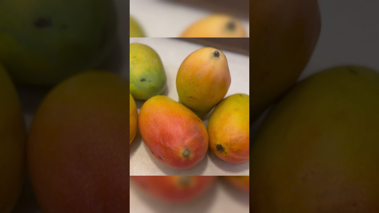 Different mangoes from India ||#saamisaami ||intvtelugu #trending
