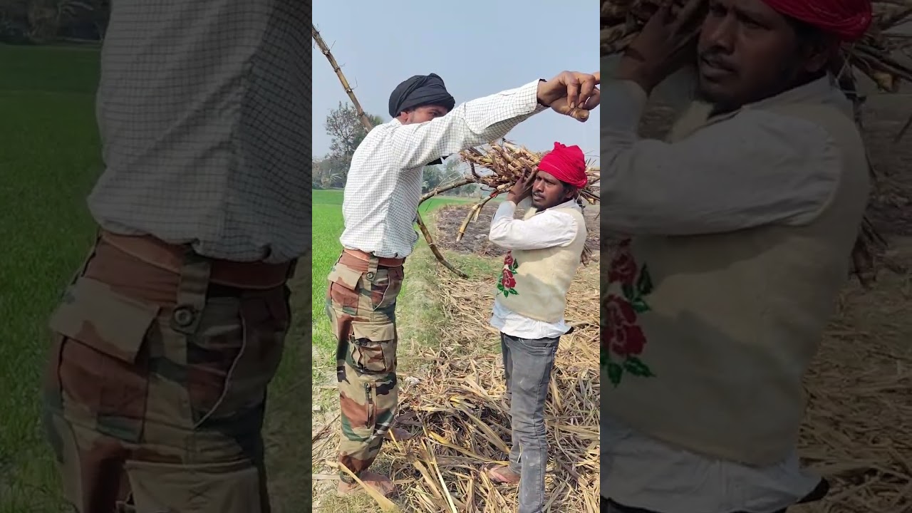 गन्ना के खेत में पकड़ा गया चोर @Anshurani 