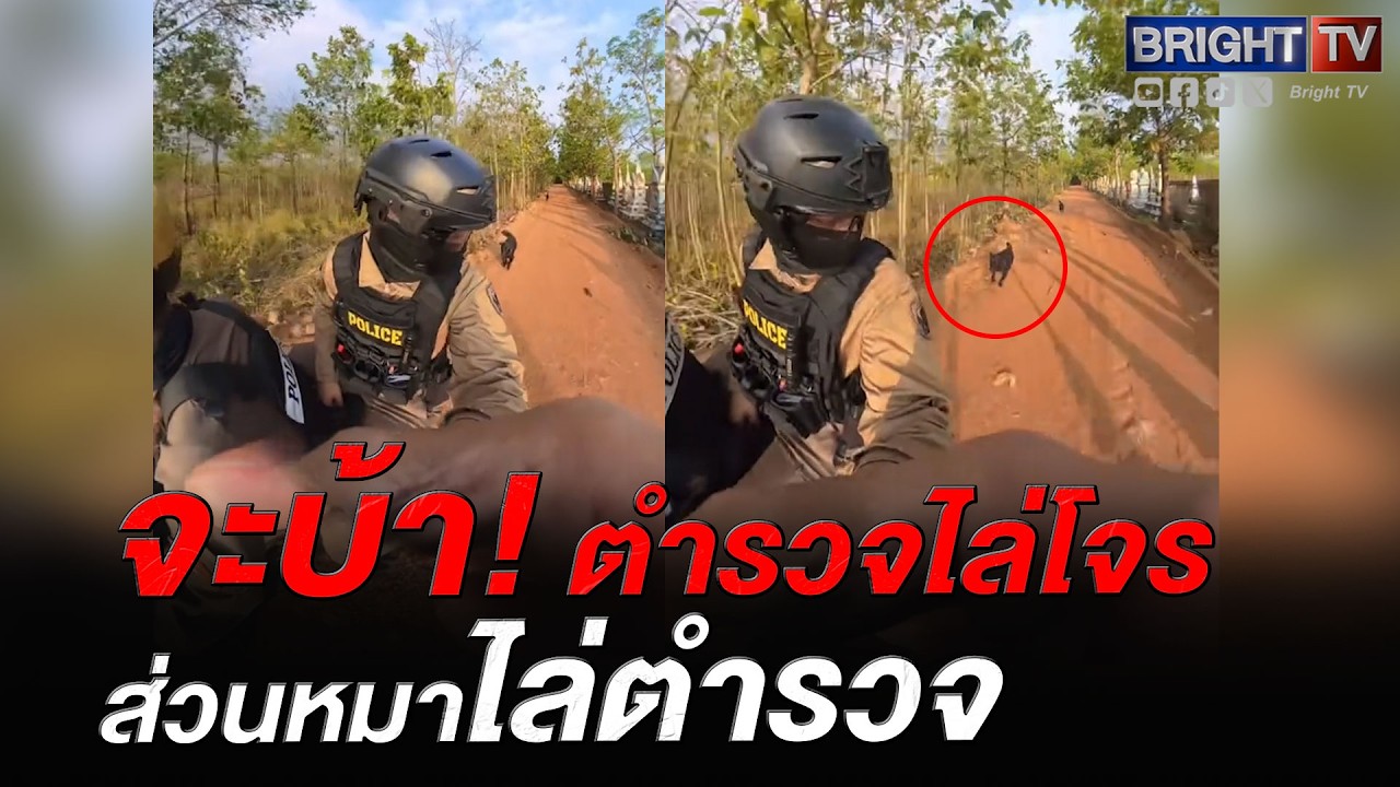ชีวิตตำรวจไม่ง่าย! กำลังแว๊นจับโจร เจอน้องหมาโดดมีส่วนร่วมด้วย