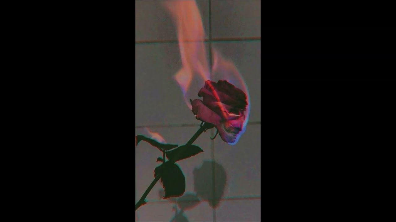 trap beat Dminor 108bpm