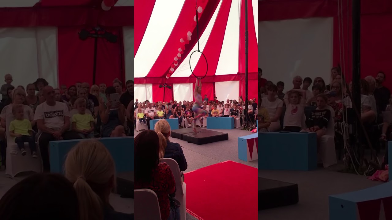 &lsquo;Feeling Good&rsquo; aerial hoop routine