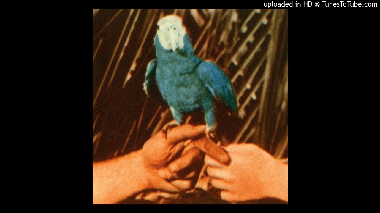 Andrew Bird - Are You Serious