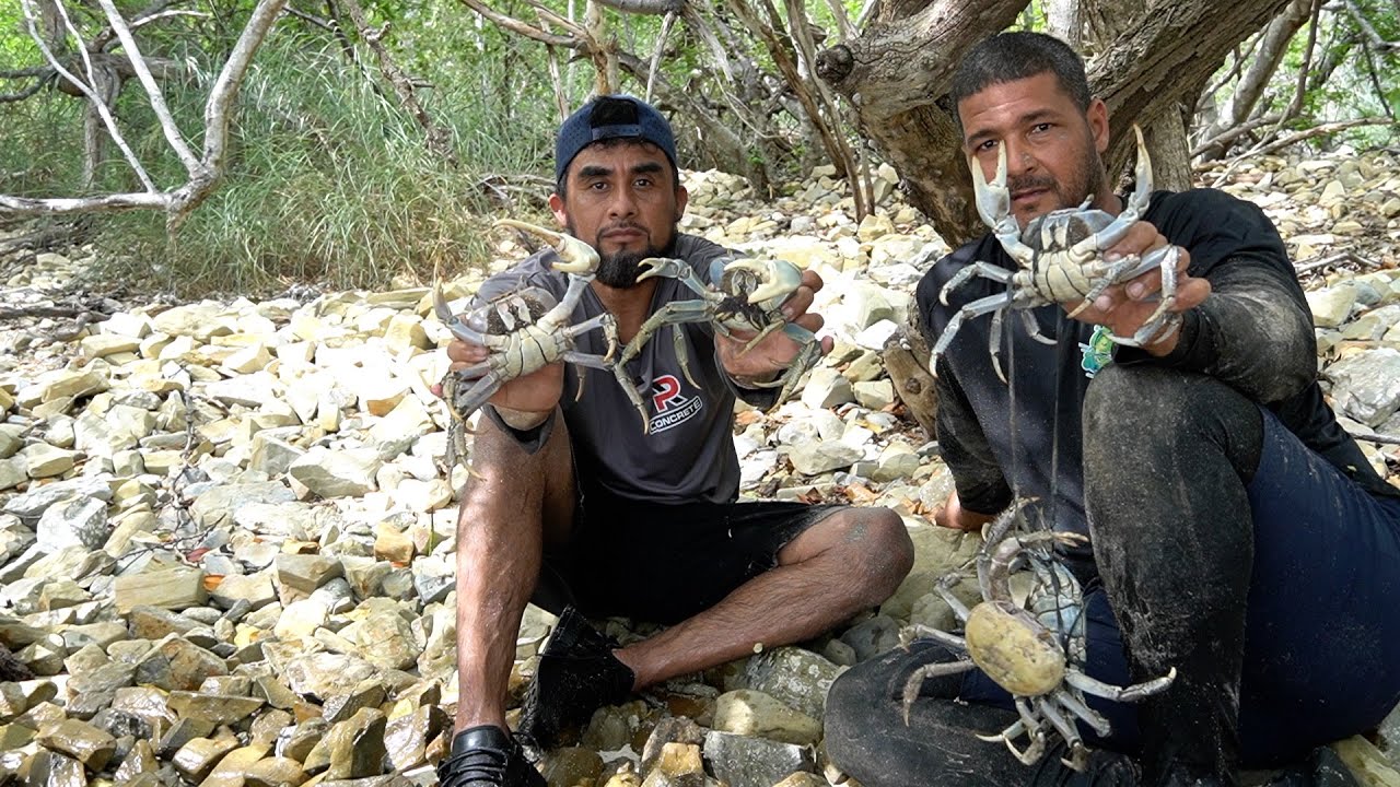 Pesca Y Cocina De Langosta Y Cagrejo Azul