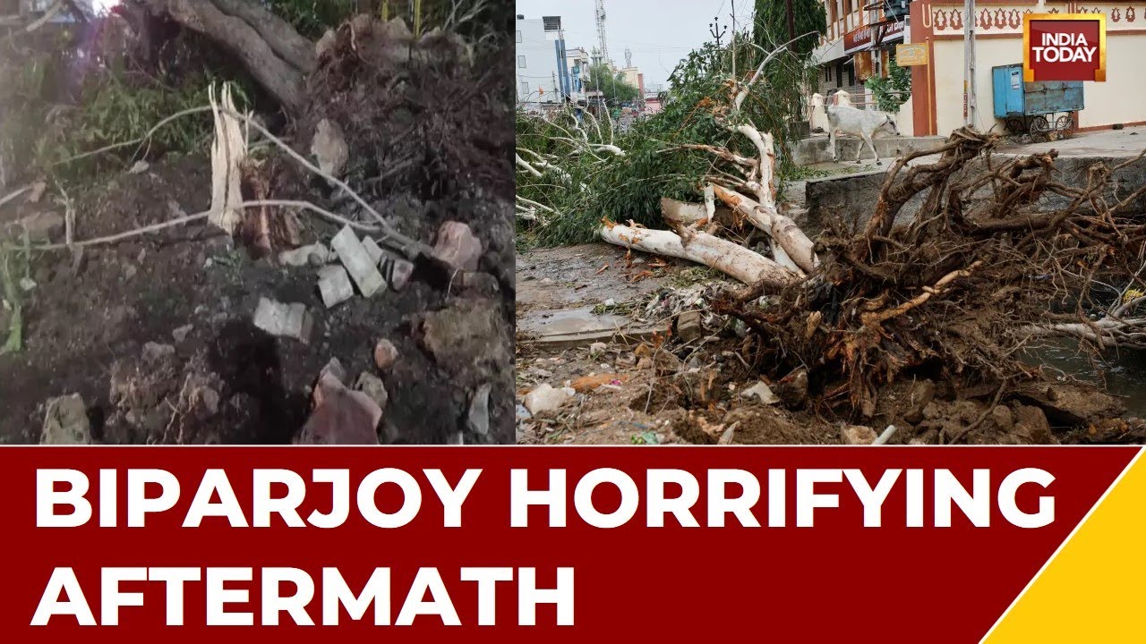 Cyclone Biparjoy Aftermath Ground Report: Trees Uprooted By Strong Winds, Property Damaged