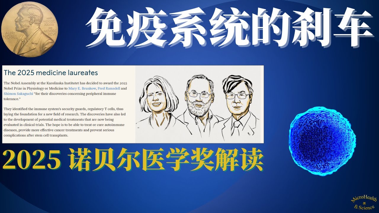 免疫系统的刹车！2025诺贝尔医学奖揭秘!