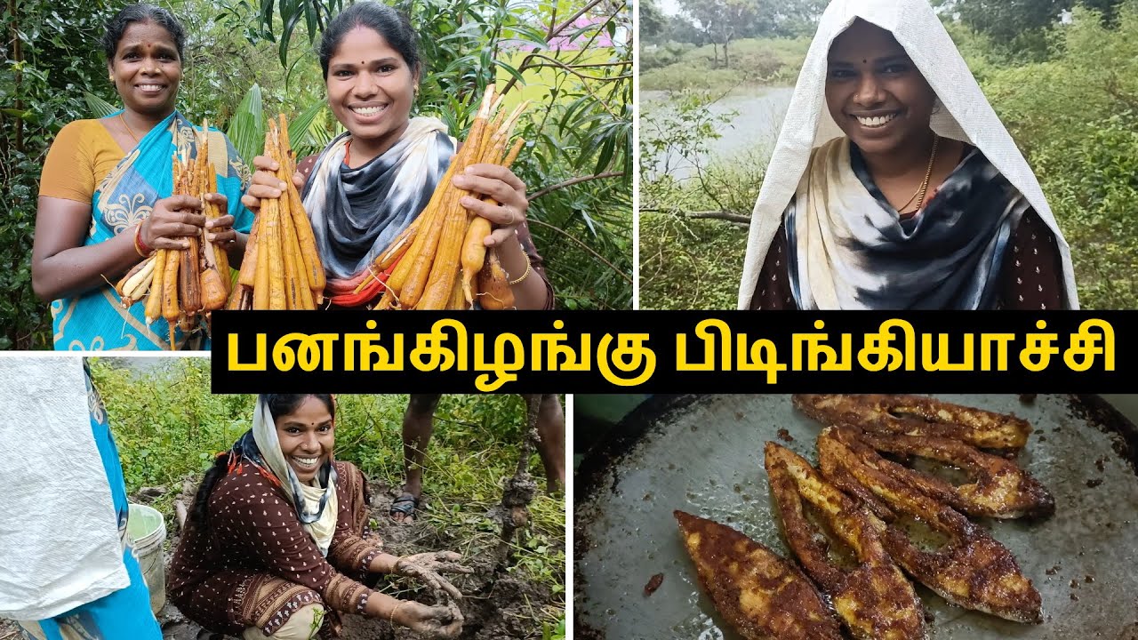 அட மழையிலும் அசராம பனங்கிழங்கு பிடிங்கிட்டோம் | Village  Vlog in Tamil | Village Vlog Video