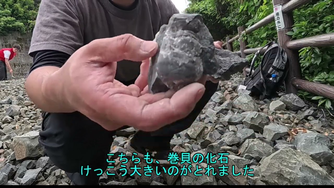 熊本県・御所浦島【トリゴニア砂岩化石採集場】で化石をさがしてみました　#化石採集　#トリゴニア　#御所浦島　#恐竜　#白亜紀　#化石ハンター　#恐竜の島