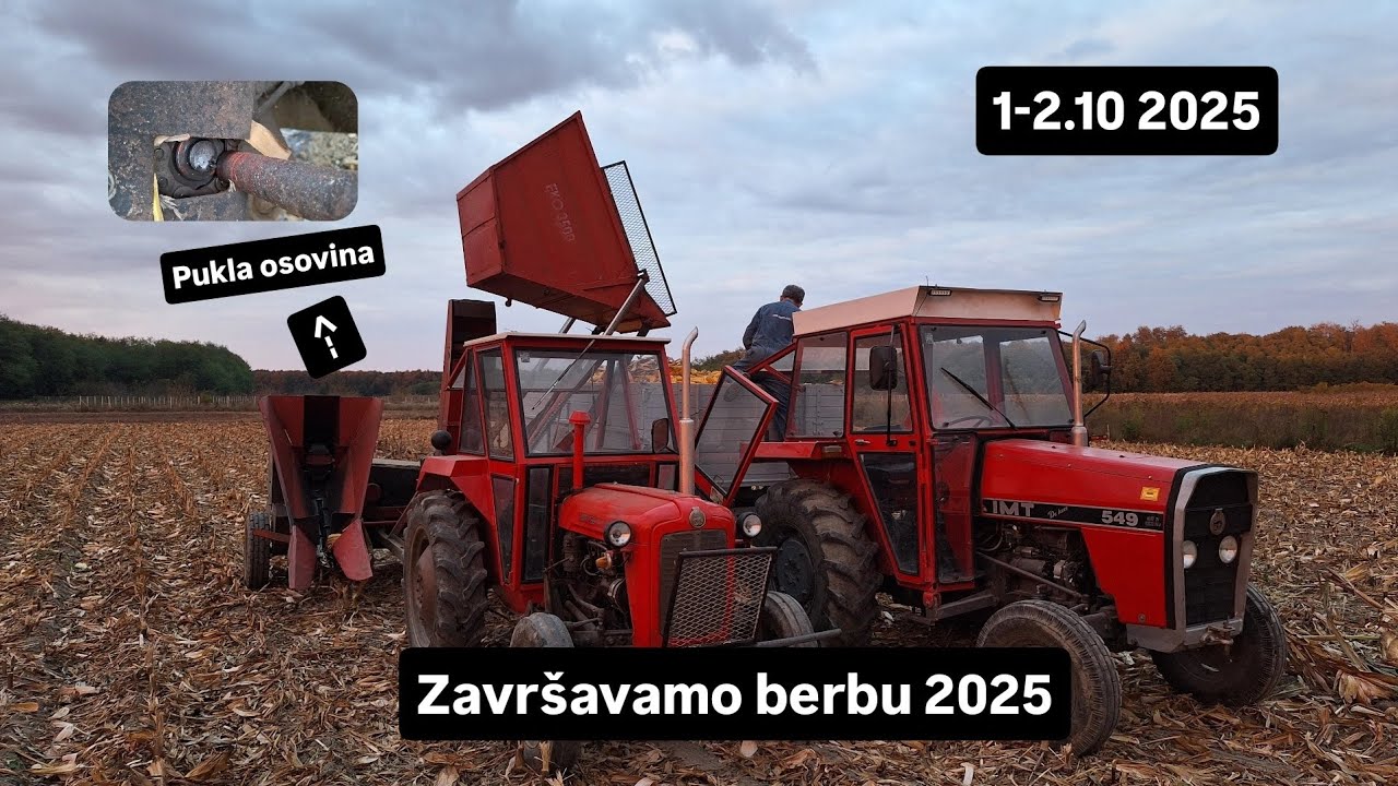 Berba kukuruza 2025 ( IMT 533 i Sip Eko 3500 )