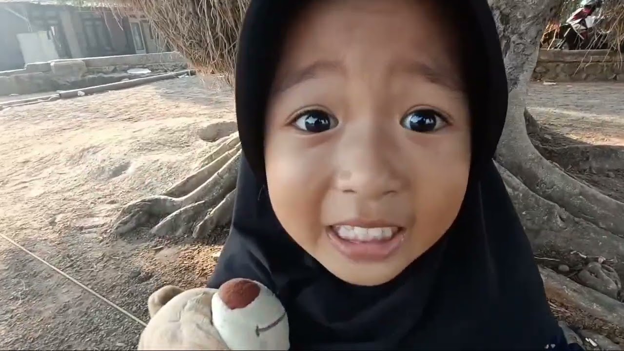Pohon Tua👻 zeeva main ada semut Api...!!!