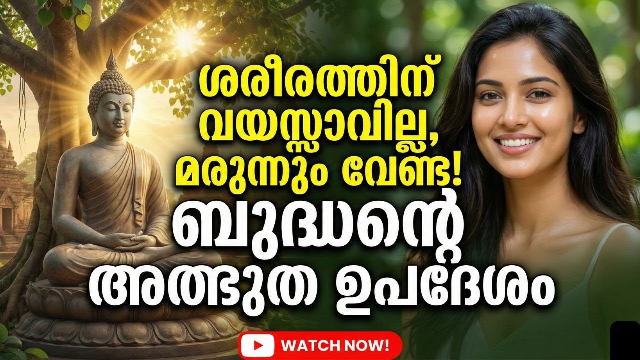 ഡോക്ടറെ കാണണ്ട! പ്രായം കുറയ്ക്കാൻ ബുദ്ധൻ പറഞ്ഞ രഹസ്യം | Buddha Story Ayurveda Health Tips Malayalam