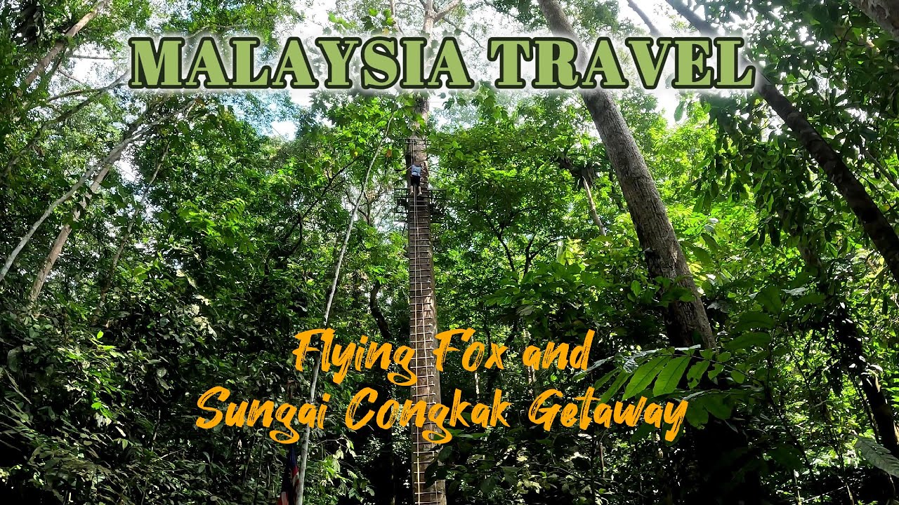Malaysia Beyond the City : Exploring Hulu Langat & Its Natural Wonders