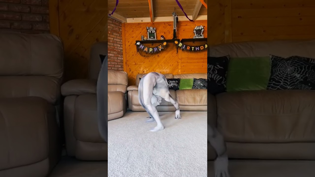 wuoo😱☠️ Yoga Halloween 🎃  #halloween2023 #halloween #lazonatwister #contorsionista
