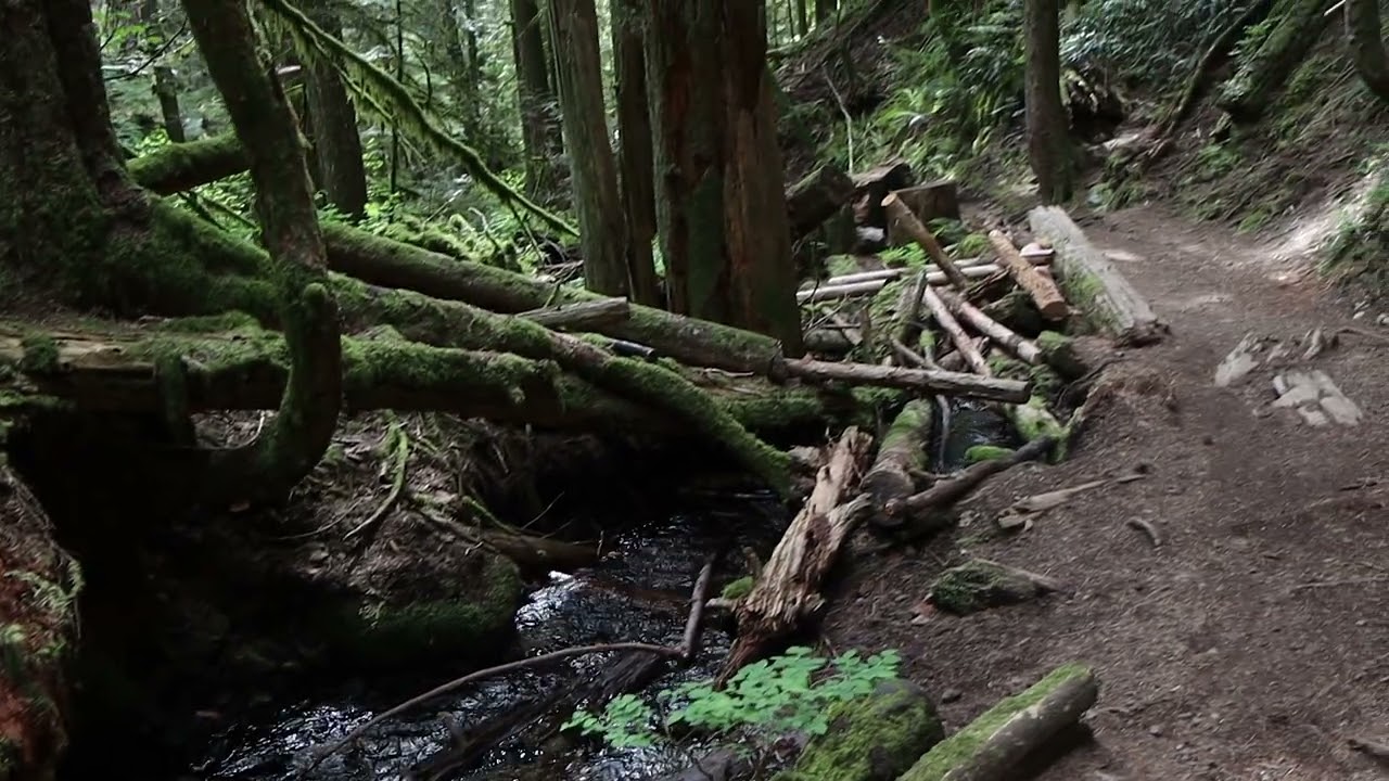 BC, Hike, Four Lakes, Alice Lake, Squamish