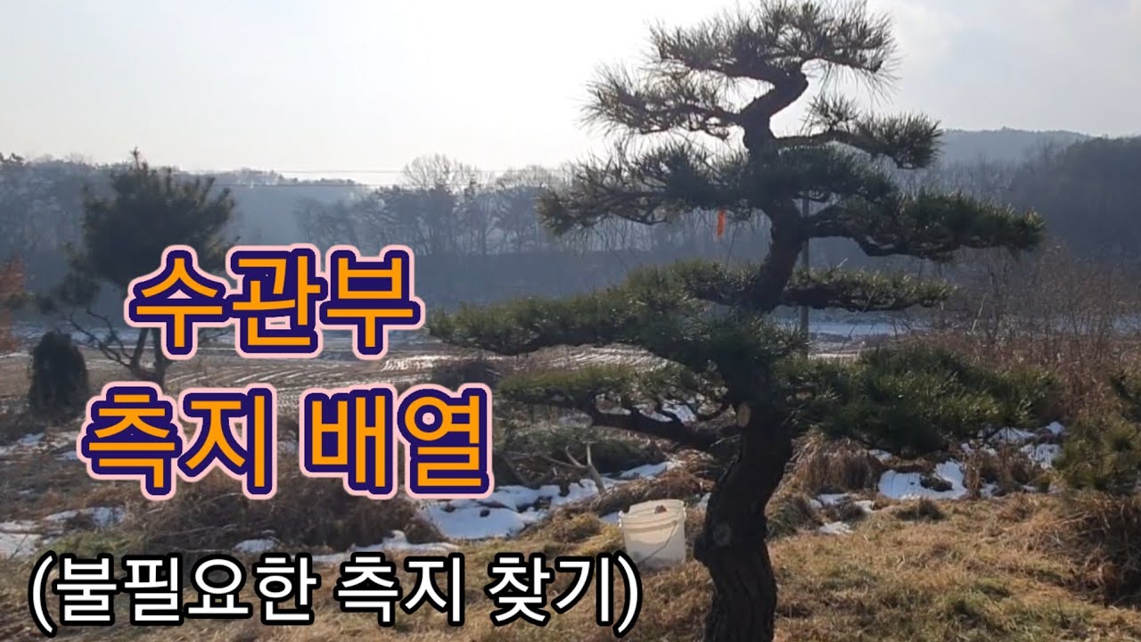 수관부 측지 배열2315편(드디어조형송완성)