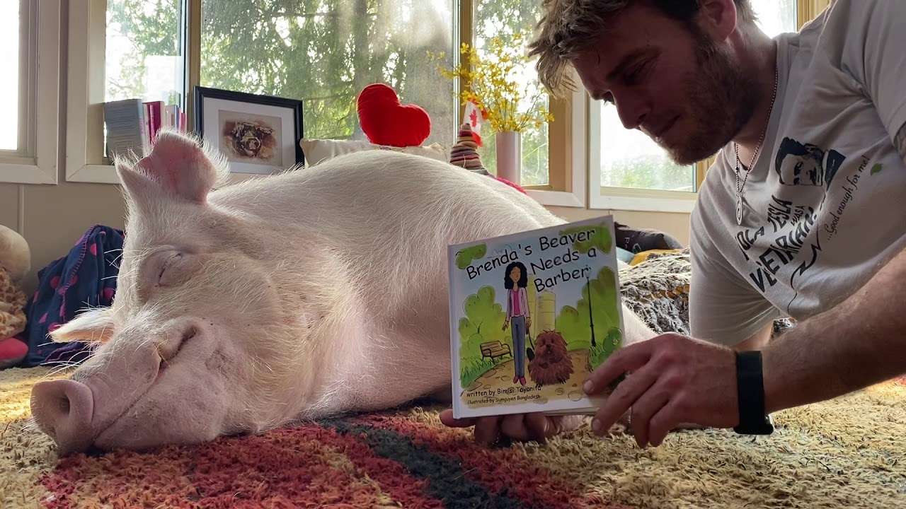 Storytime with Esther T.W. Pig: Brenda’s Beaver Needs a Barber