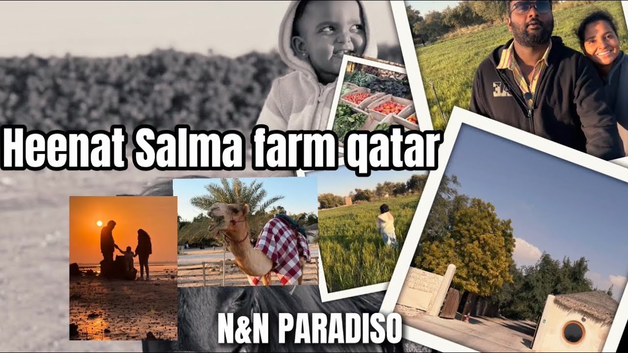 HEENAT SALMA FARM QATAR| QATR MALAYALAM VLOG| MUST WATCH |SPECIAL VLOG | KERALA 