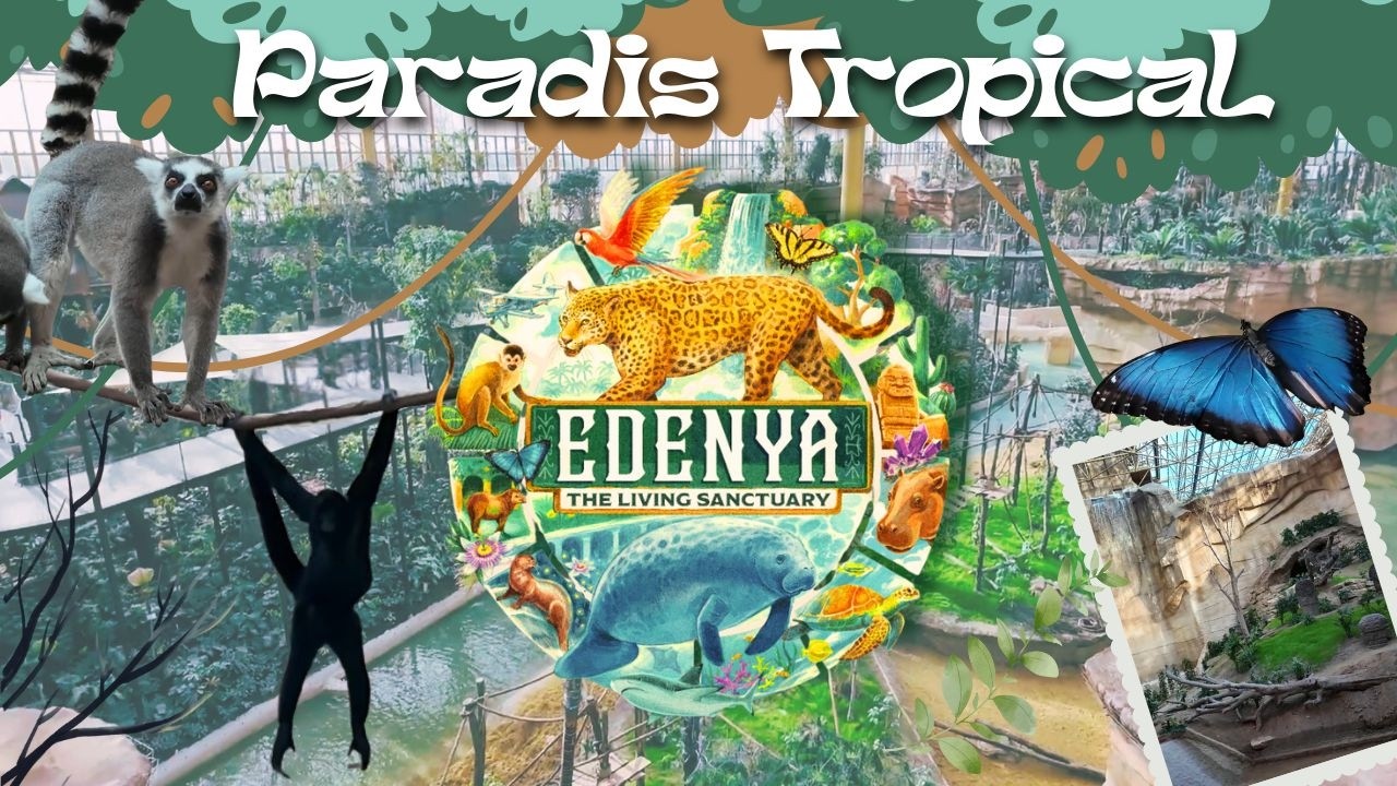[Vlog] A la découverte de la plus grande serre du monde à Pairi Daiza 🦋