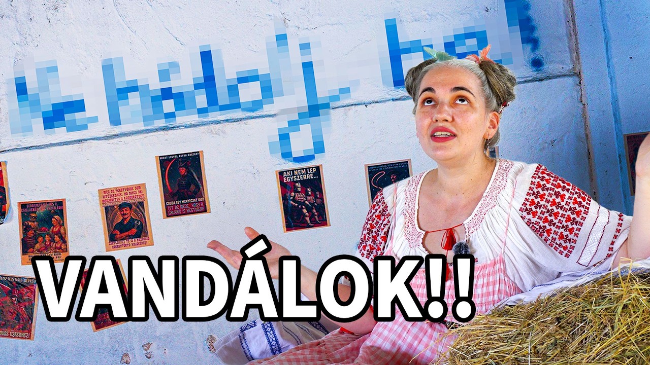 Vandálok a pajtában, birkák és tájgazdálkodás - 2. epizód