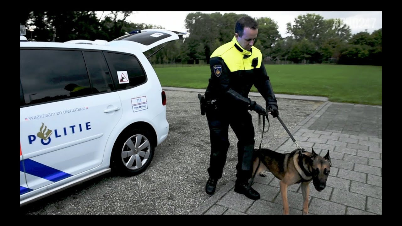 Altijd solo nooit alleen - Politie Hondenbrigade Rotterdam