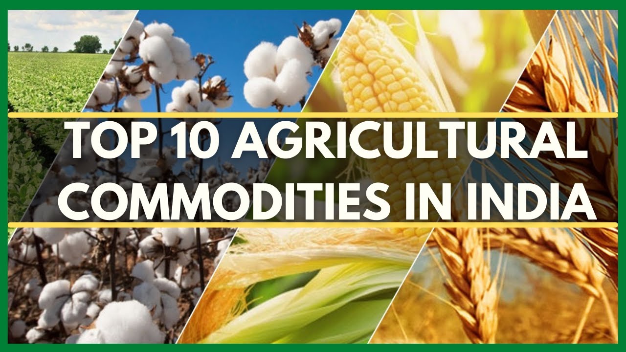 TOP 10 AGRICULTURAL COMMODITIES IN INDIA | AGRI-COMMODITIES |MAJOR PRODUCTION AREAS IN INDIA 2021