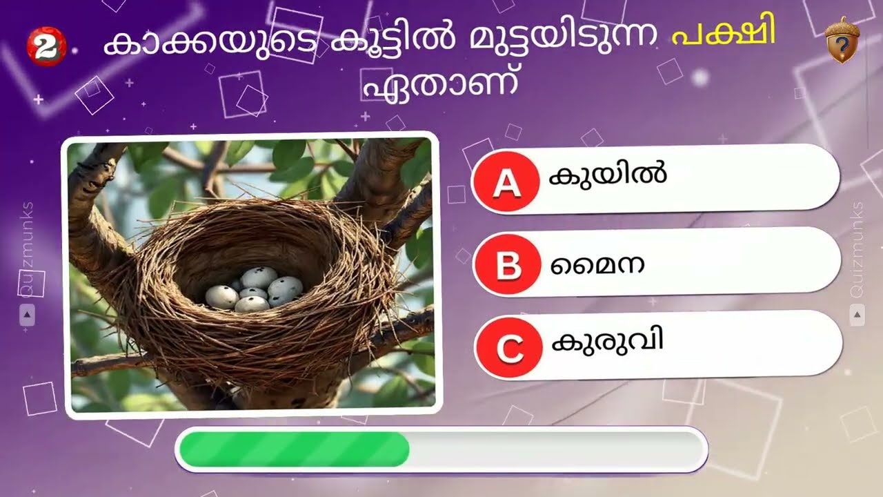 Top 40+ GK Quiz on Common Indian Birds in Malayalam | Trivia General Knowledge