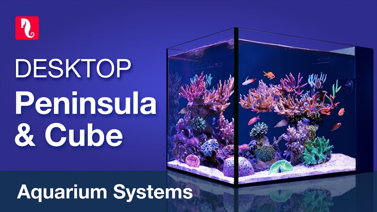 The DESKTOP Series &ndash; All-In-One NANO tanks