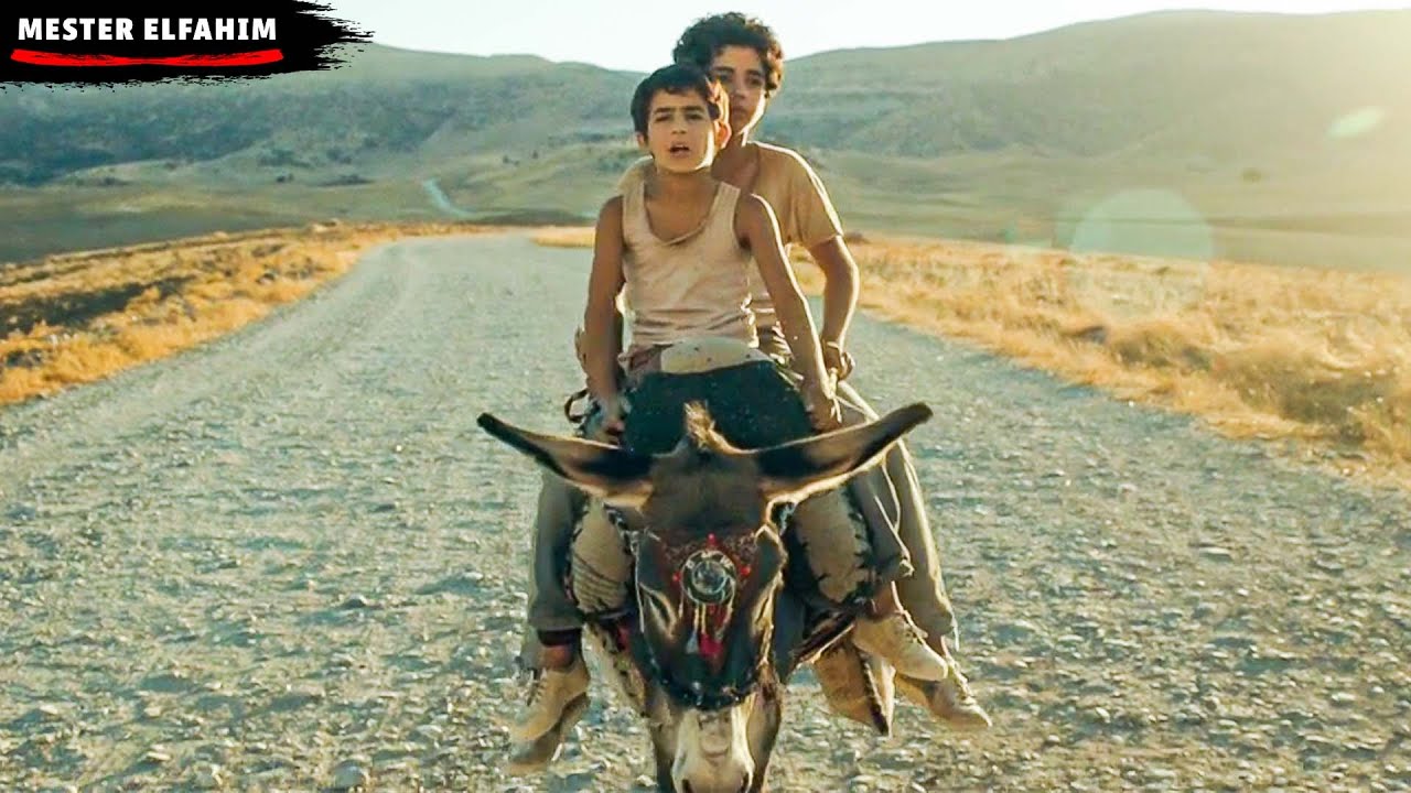 جوج دراري قهرهم الفقر في العراق😰 وقرّروا يسافروا لأمريكا على ظهر حمار😱