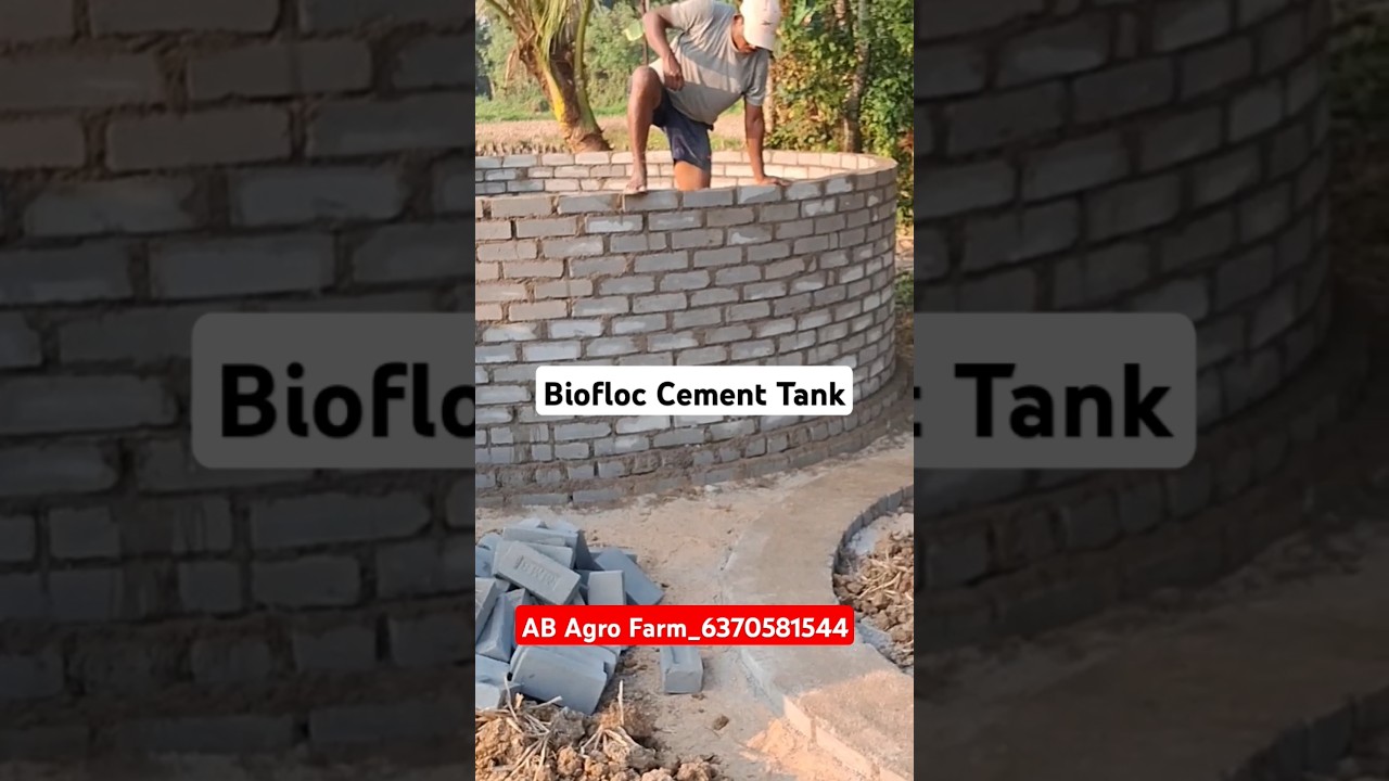 Biofloc Fish Farming Cement Tank construction by AB Agro farm // Biofloc Cement tank odisha#biofloc