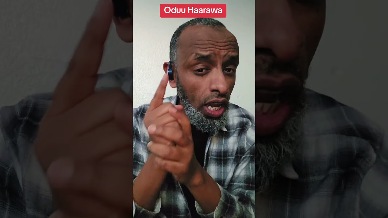 Oduu Haarawa, Minnesota iraa. Warra Waraqaa Magariisa Qabuuf. Afaan Oromoo New