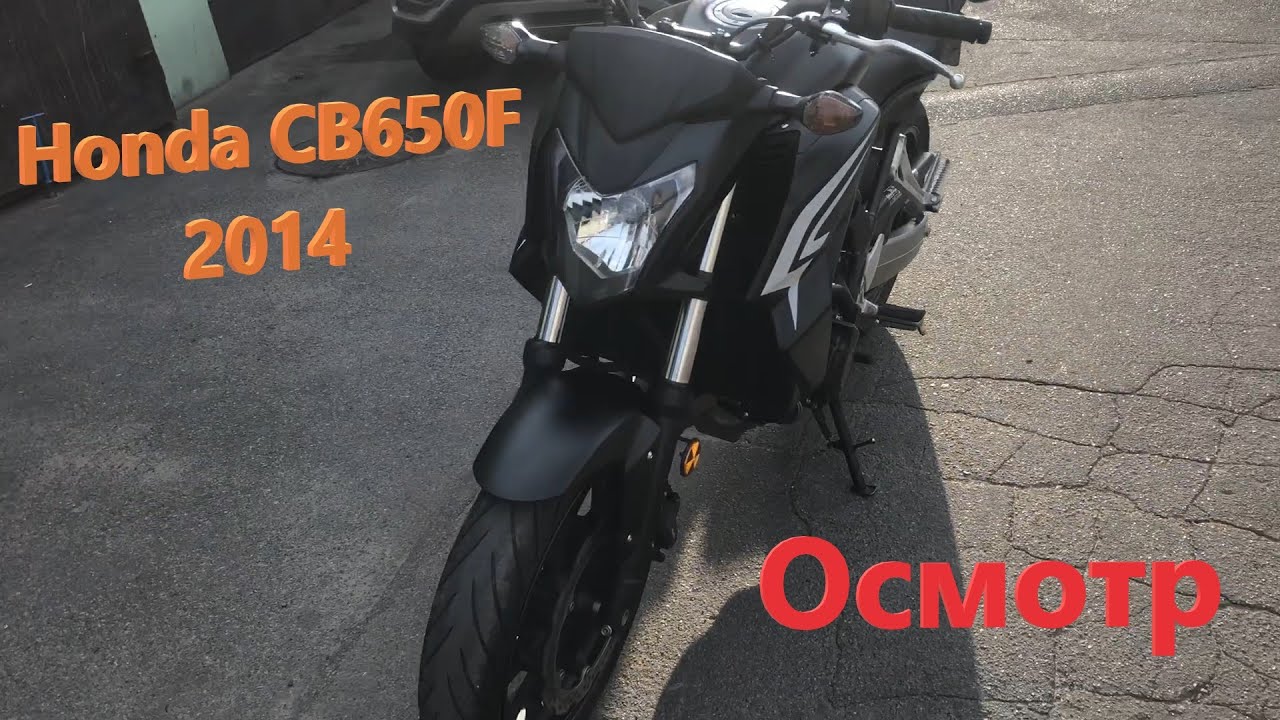 Мотоподбор. Осмотр и оценка мотоцикла Honda CB650F 2014