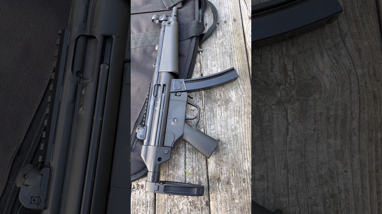 PTR 9 with tailhook brace
