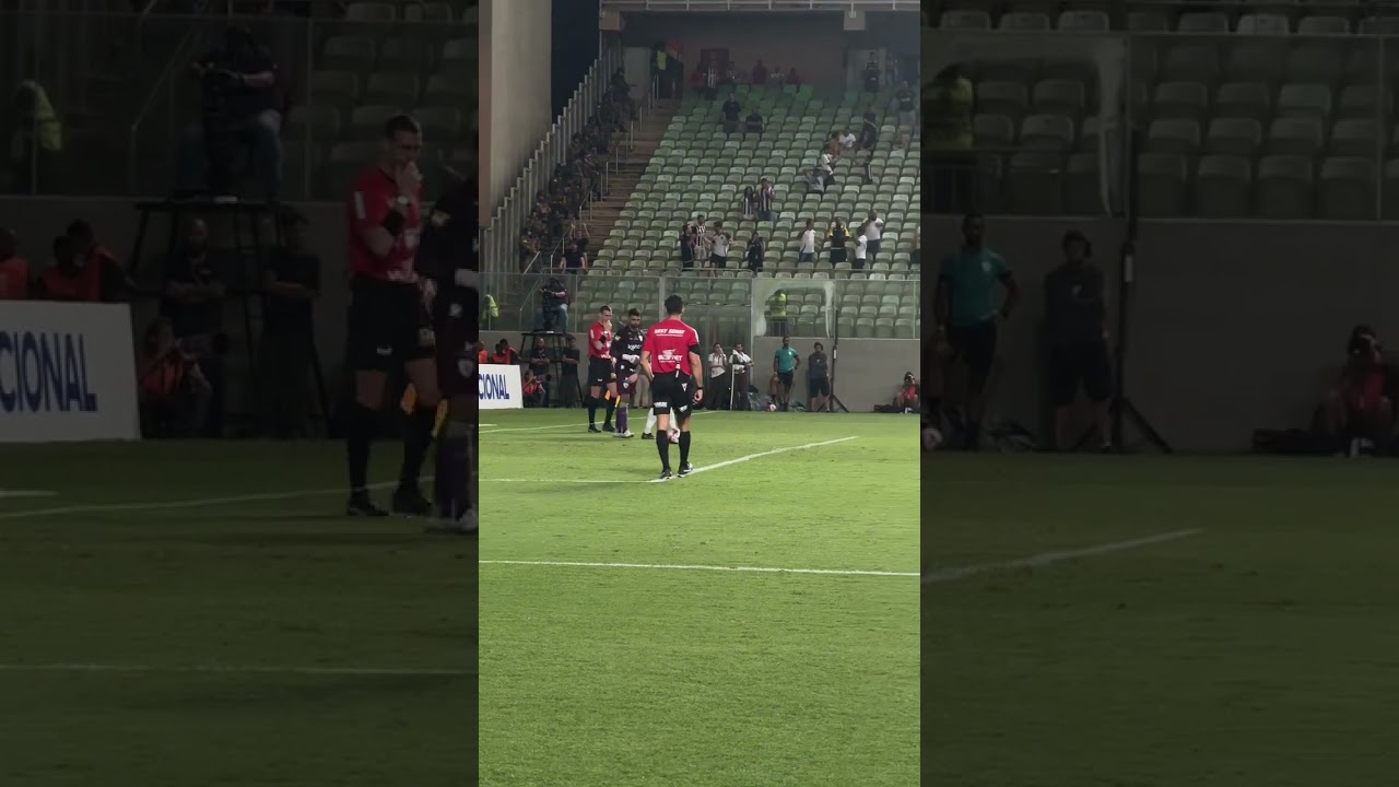 GALO VENCE e EST&Aacute; na FINAL!