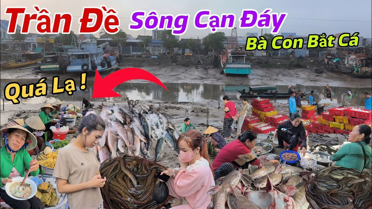 Trần Đề SÓC TRĂNG Sông Cạn Khô Đáy Người Dân Đi Bắt Cá, Cảnh Chợ Mua Bán Hải Sản Giá Rẻ Bất Ngờ 