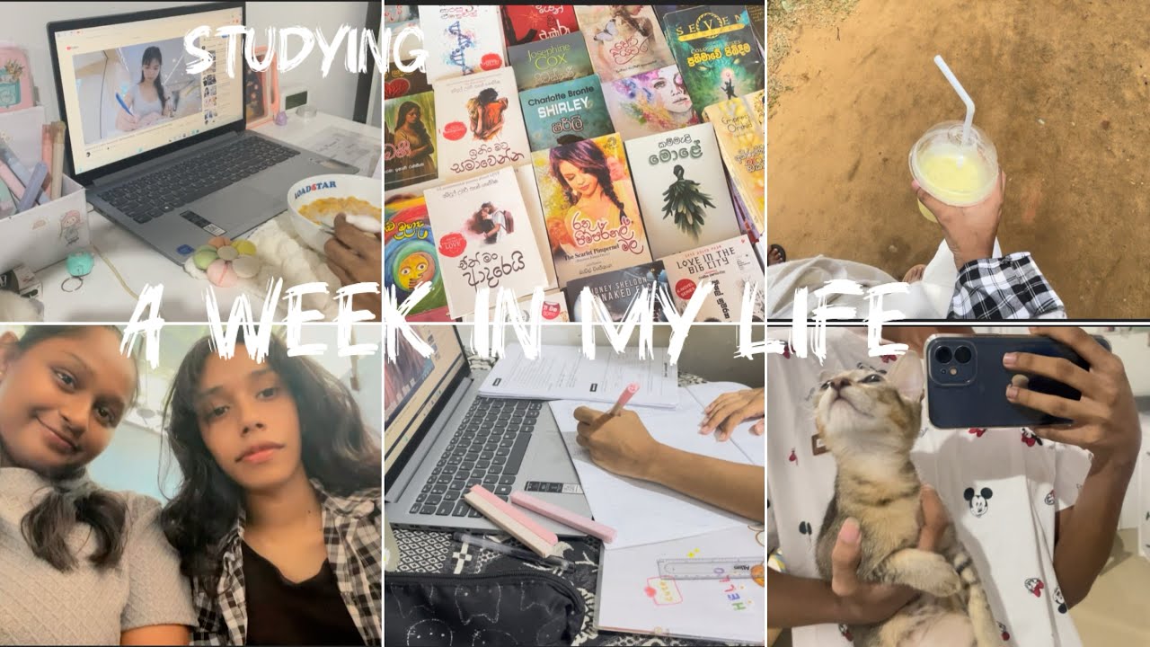 A week in my life | 🌷✨දවසින් දවස අලුත් වෙන මගේ life එකේ සති අන්තයක් 📸👀✨ #srilanka #dailyvlog
