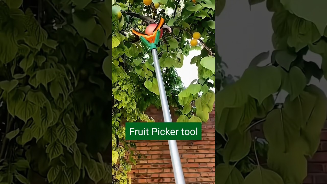 Multifunctional 3-Claw Telescopic Fruit Picker | Pick Fruits from High Trees Easily!