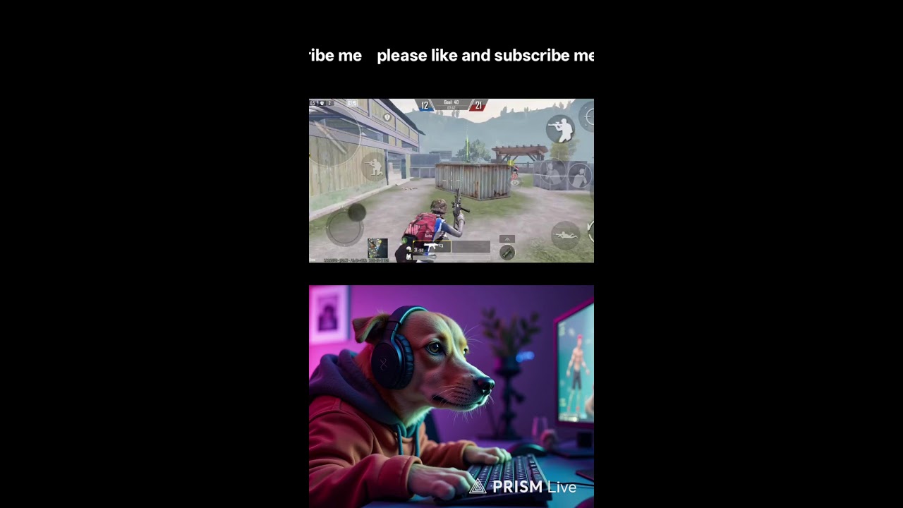 💀TDM MATCH With  RANDAM MATCH 💀  4 VS 4..