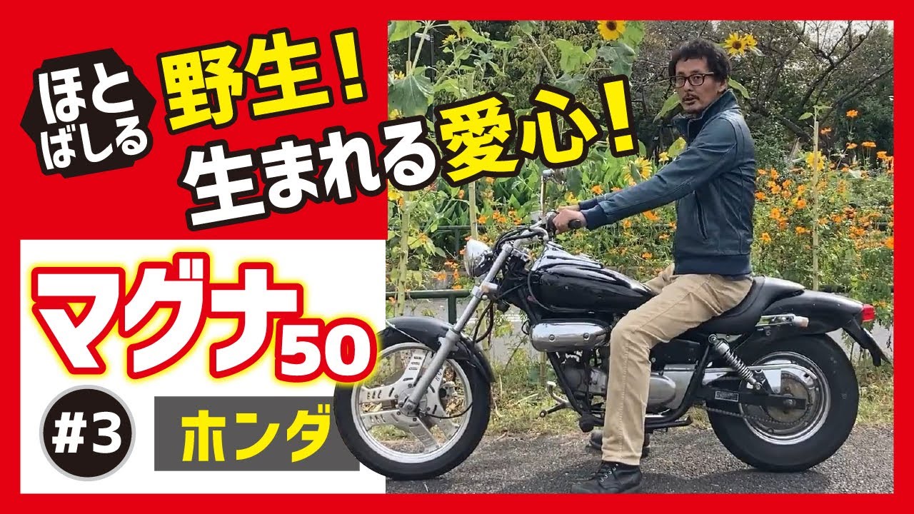 【マグナ50】カッコ可愛いすぎるだろう！この原付アメリカン！