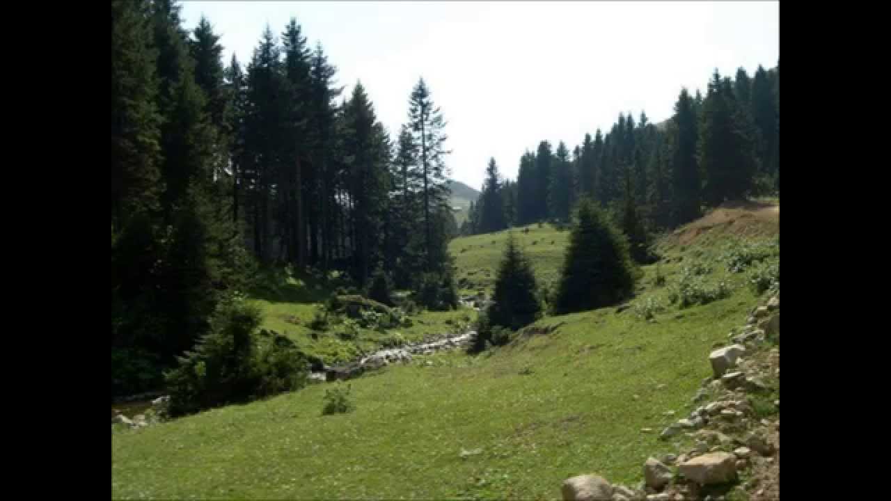 Horon,Kemençe, karadeniz, rumca şarkılar,karadeniz müziği, pontus müziği, ποντοσ, rumca türküler