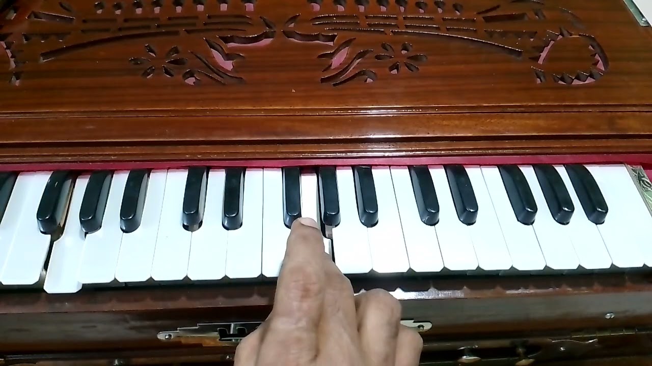 Lucy Online#song #besic #onlinelearning