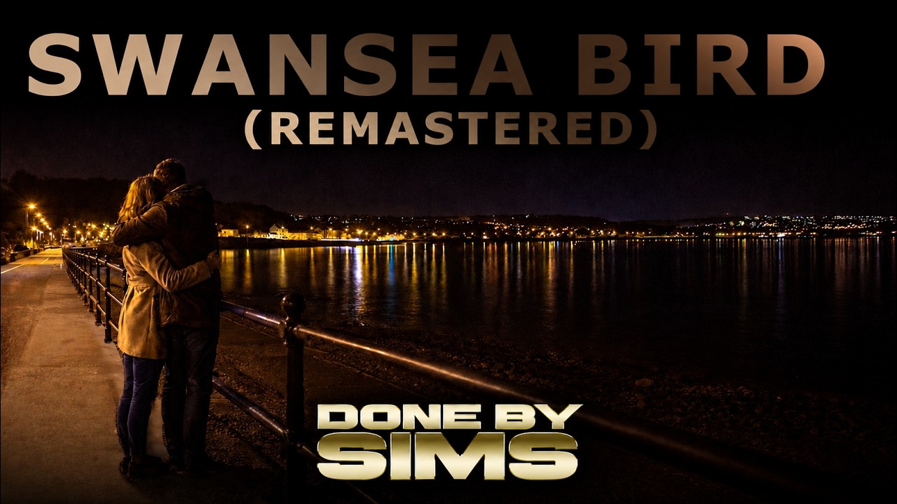 Swansea Bird (remaster)