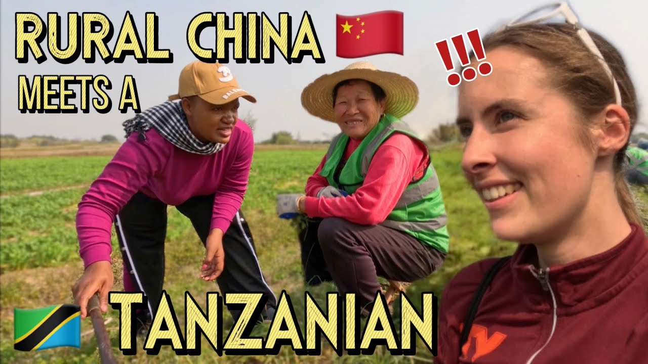 Chinese villagers react to meeting a Tanzanian 🇨🇳🇹🇿 这是不是全球最社牛的国家？我带坦桑尼亚人走进中国农村！