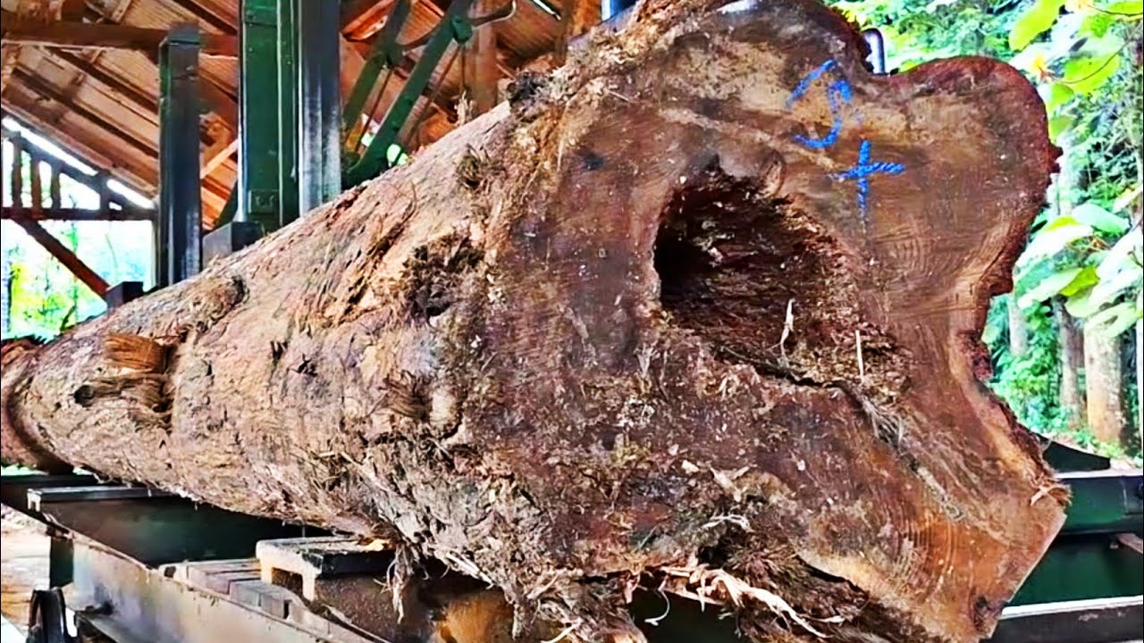 Teak wood from the village with beautiful and luxurious texture at the sawmill 