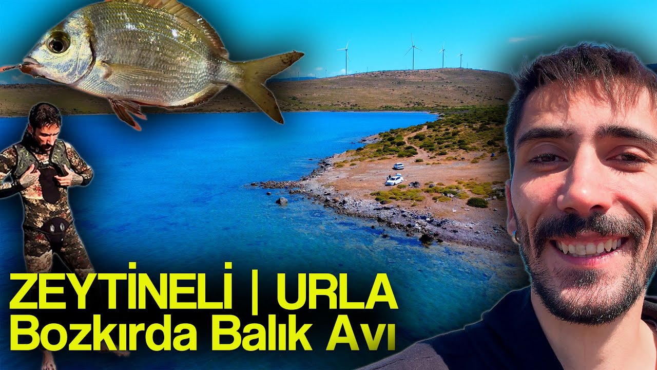 Gece Olta, Sabah Zıpkın! Zeytineli Balık Avı