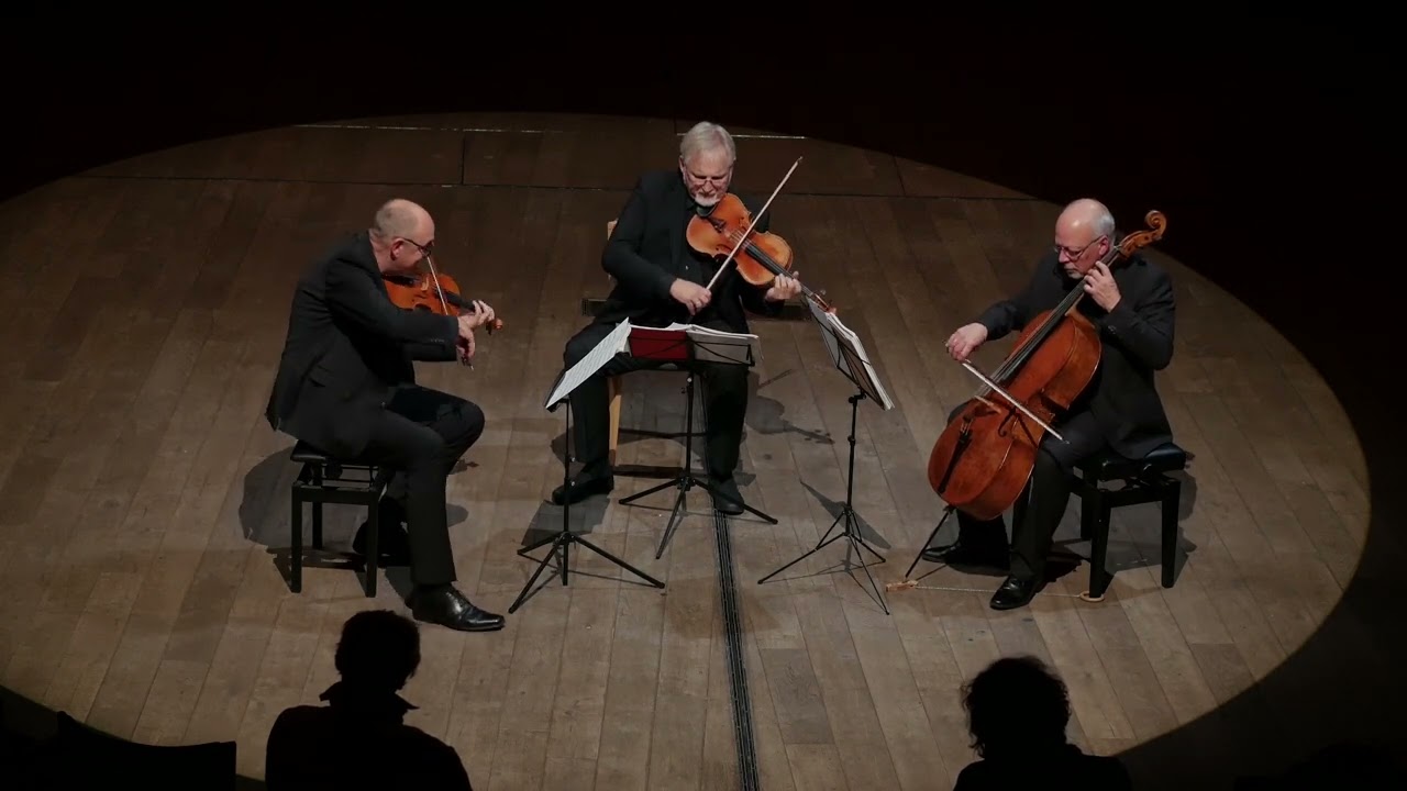 Sándor Veress : Dances from Somogyi for String Trio