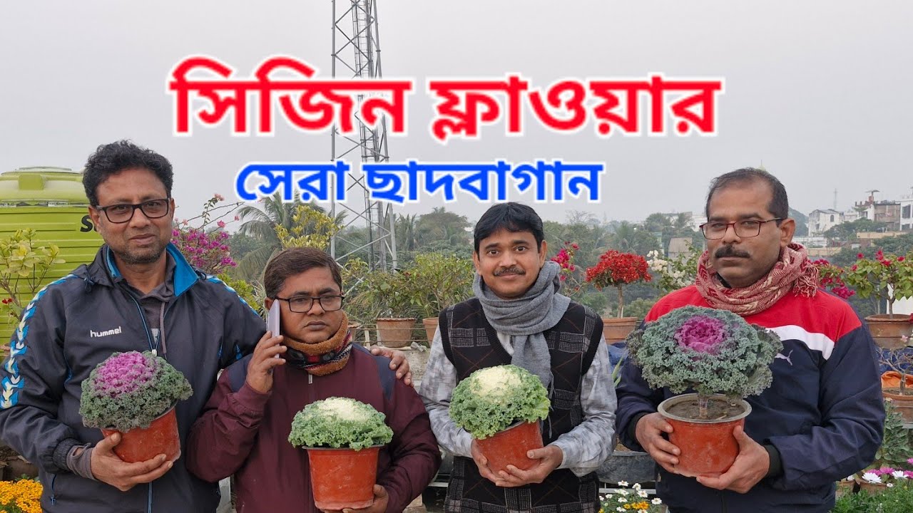 সিজিন ফ্লাওয়ার রাজার ছাদবাগান 🌹💐❤️।