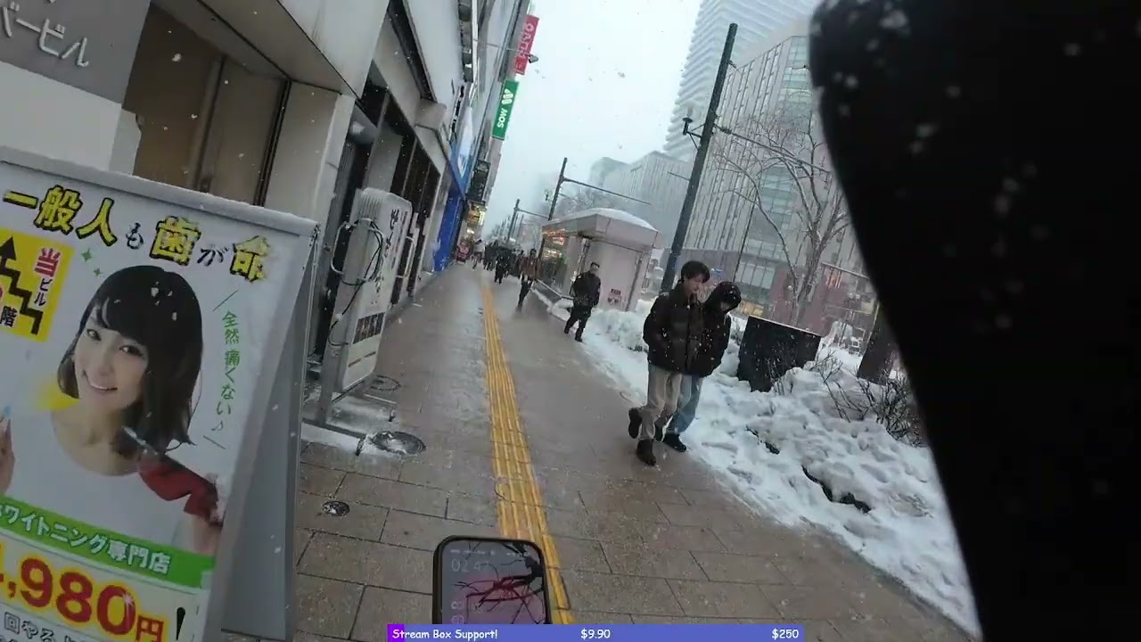 SAPPORO IRL! I MADE IT TO JAPAN! VIEWING TOWER AND SNOW FESTIVAL